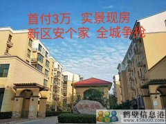 首付3萬(wàn)，新區(qū)安個(gè)家