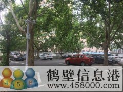 鶴翔小學、淇濱中學學區(qū)房出售